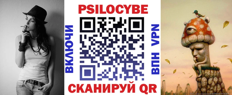 Псилоцибиновые грибы Psilocybine cubensis Билибино